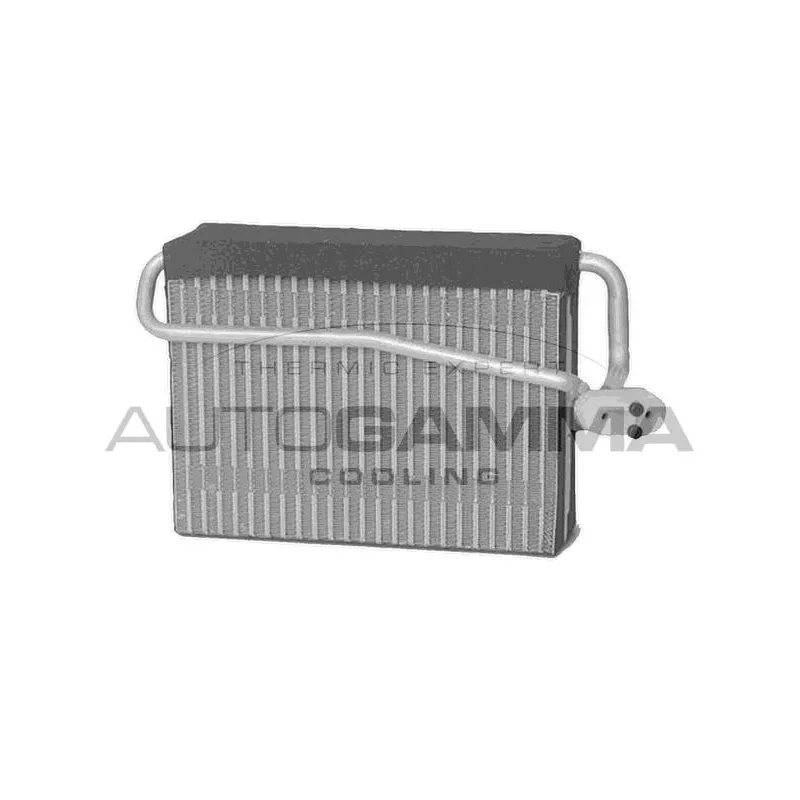 Évaporateur climatisation AUTOGAMMA 112022