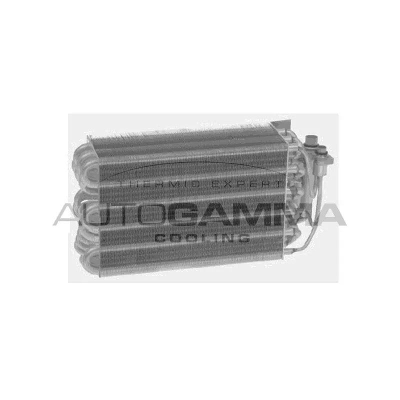 Évaporateur climatisation AUTOGAMMA 112035
