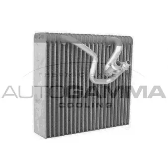 Évaporateur climatisation AUTOGAMMA 112043