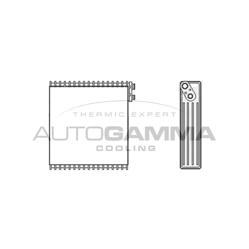 Évaporateur climatisation AUTOGAMMA 112064