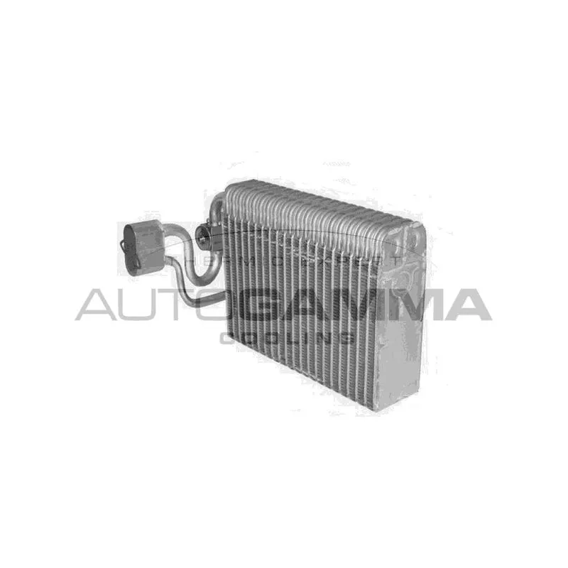 Évaporateur climatisation AUTOGAMMA 112067