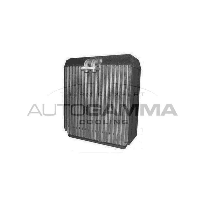 Évaporateur climatisation AUTOGAMMA 112070