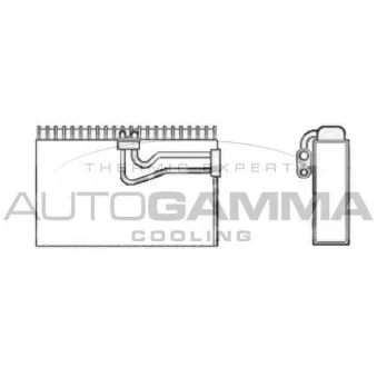 Évaporateur climatisation AUTOGAMMA 112071