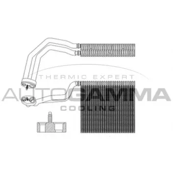 Évaporateur climatisation AUTOGAMMA 112072