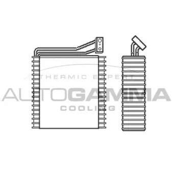Évaporateur climatisation AUTOGAMMA 112085