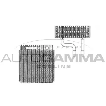 Évaporateur climatisation AUTOGAMMA 112102