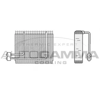 Évaporateur climatisation AUTOGAMMA 112130