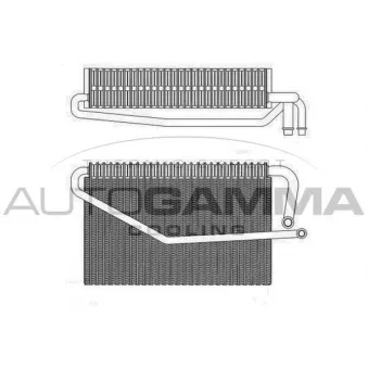 Évaporateur climatisation AUTOGAMMA 112166