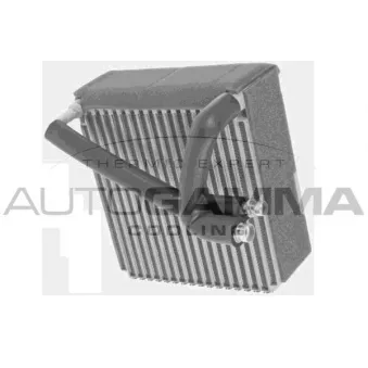 Évaporateur climatisation AUTOGAMMA 112172