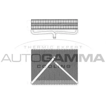 Évaporateur climatisation AUTOGAMMA 112211