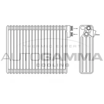 Évaporateur climatisation AUTOGAMMA 112234