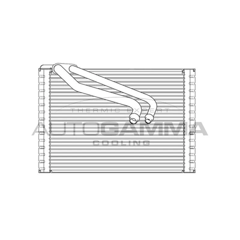 Évaporateur climatisation AUTOGAMMA 112241