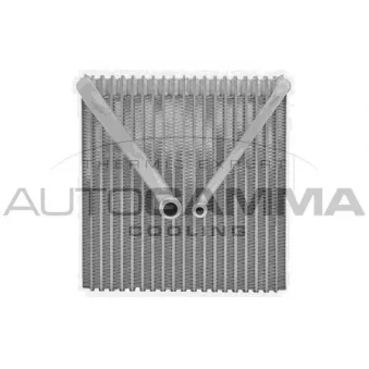 Évaporateur climatisation AUTOGAMMA 112242
