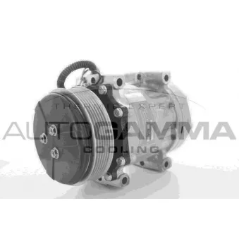 Compresseur, climatisation AUTOGAMMA 118358