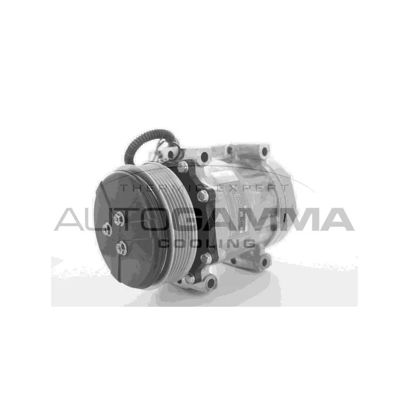 Compresseur, climatisation AUTOGAMMA 118358