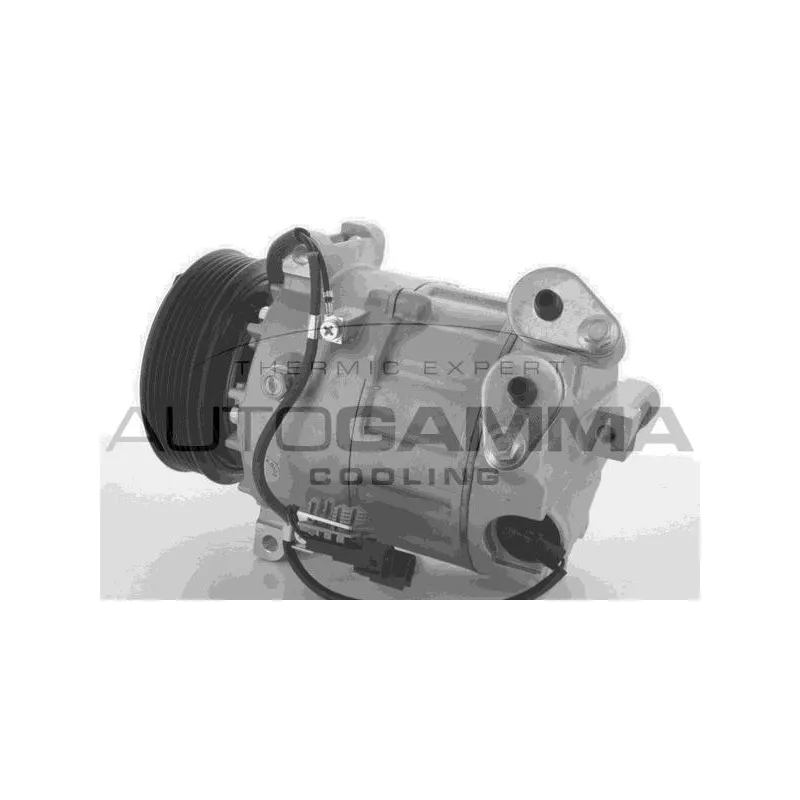 Compresseur, climatisation AUTOGAMMA 118373