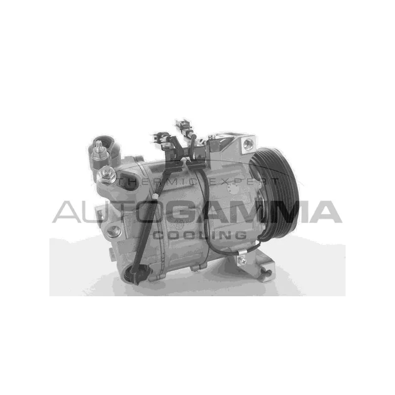 Compresseur, climatisation AUTOGAMMA 118374