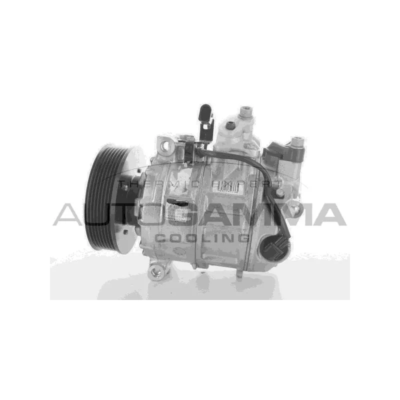 Compresseur, climatisation AUTOGAMMA 118376