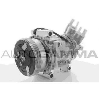 Compresseur, climatisation AUTOGAMMA 118380