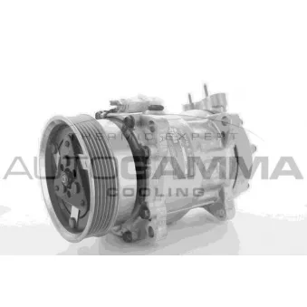 Compresseur, climatisation AUTOGAMMA 118381