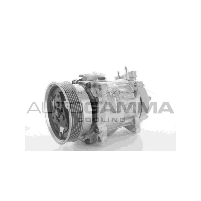 Compresseur, climatisation AUTOGAMMA 118381