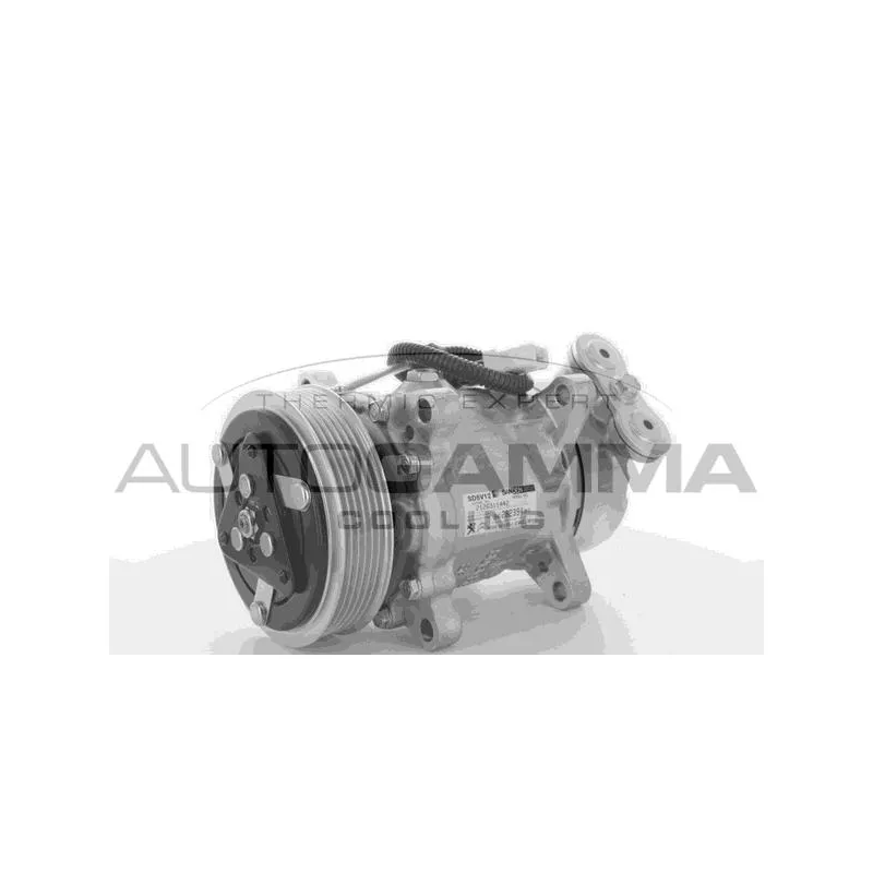Compresseur, climatisation AUTOGAMMA 118382