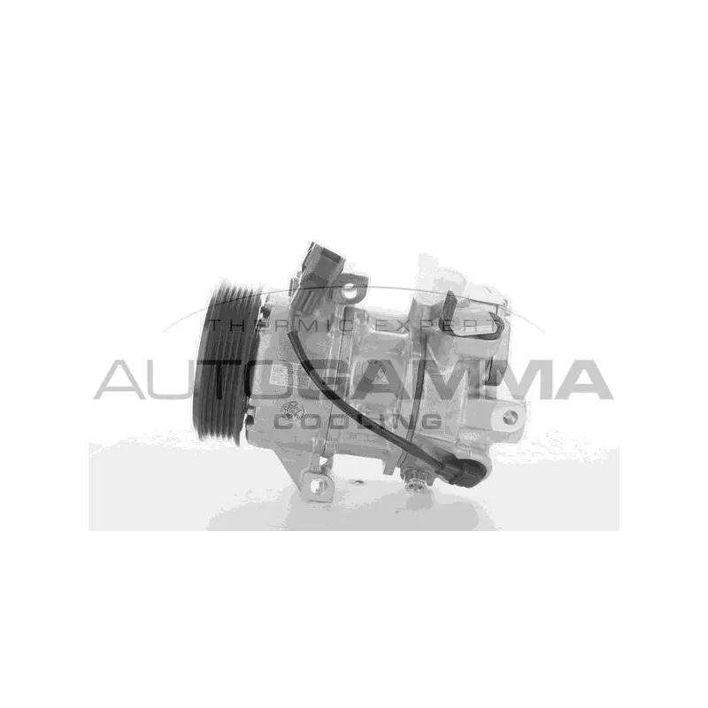 Compresseur, climatisation AUTOGAMMA 118383