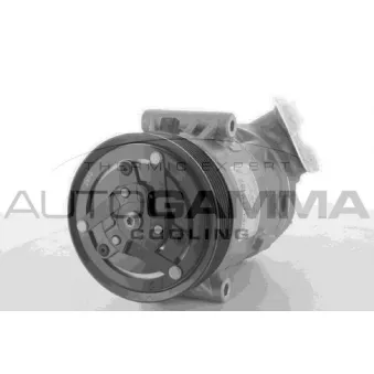Compresseur, climatisation AUTOGAMMA 118387