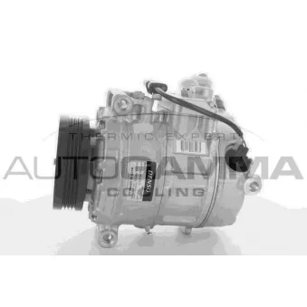 Compresseur, climatisation AUTOGAMMA 118391