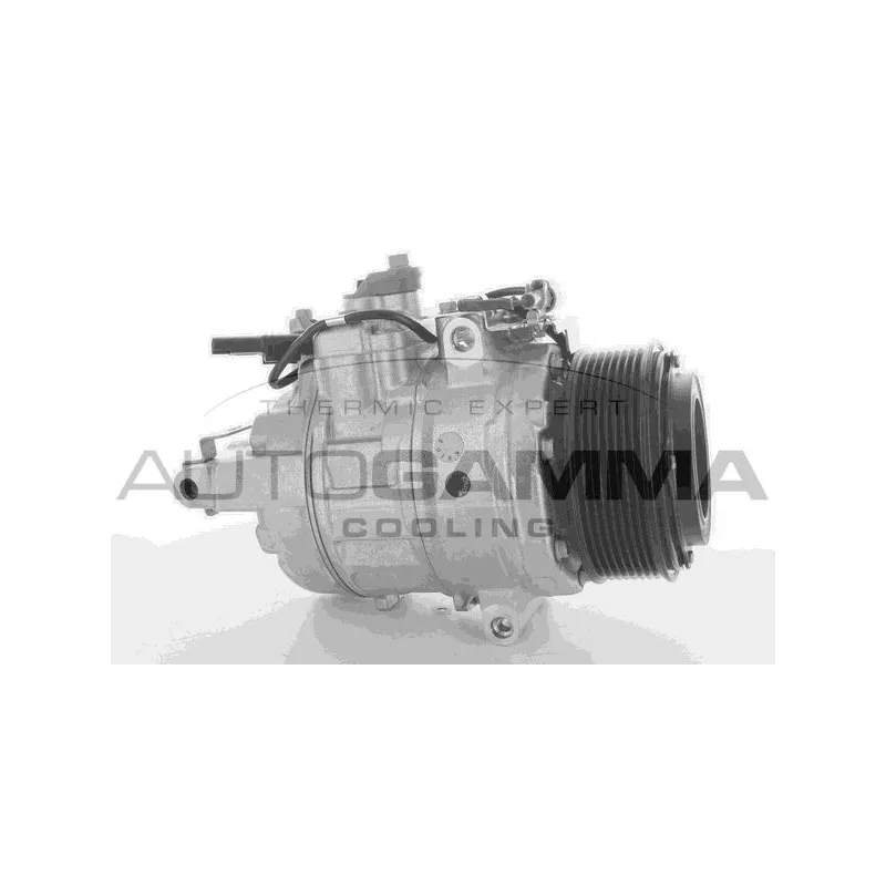 Compresseur, climatisation AUTOGAMMA 118396