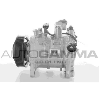 Compresseur, climatisation AUTOGAMMA 118399