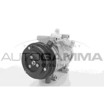 Compresseur, climatisation AUTOGAMMA 118406