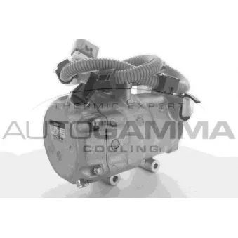 Compresseur, climatisation AUTOGAMMA 118419
