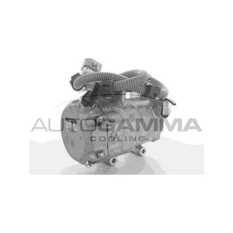 Compresseur, climatisation AUTOGAMMA 118419
