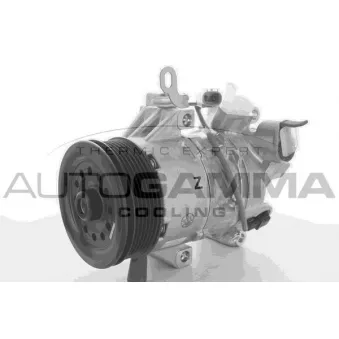Compresseur, climatisation AUTOGAMMA 118420