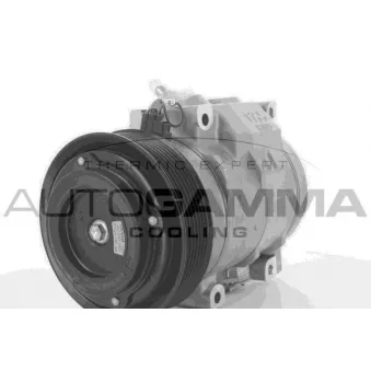 Compresseur, climatisation AUTOGAMMA 118422