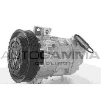 Compresseur, climatisation AUTOGAMMA 118426