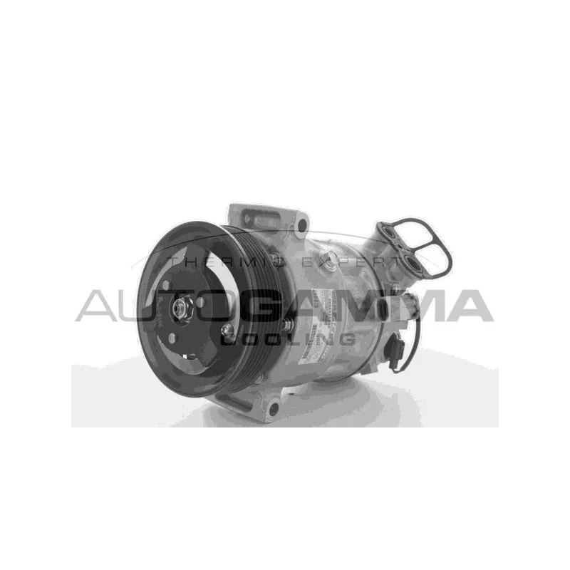 Compresseur, climatisation AUTOGAMMA 118430