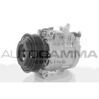 Compresseur, climatisation AUTOGAMMA 118431