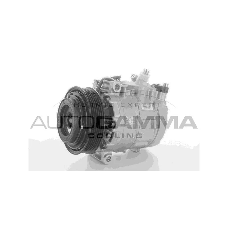 Compresseur, climatisation AUTOGAMMA 118431