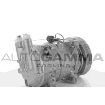 Compresseur, climatisation AUTOGAMMA 118436