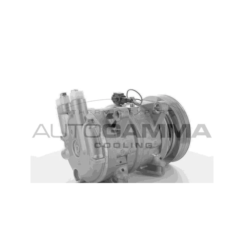 Compresseur, climatisation AUTOGAMMA 118436