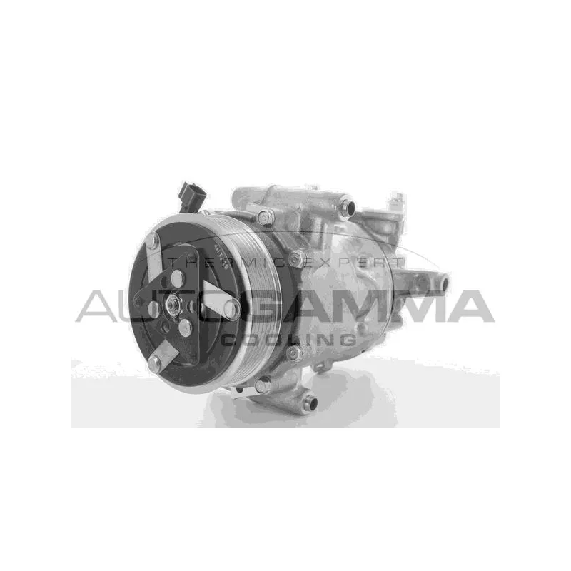 Compresseur, climatisation AUTOGAMMA 118443