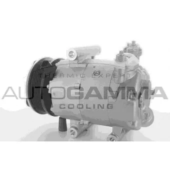 Compresseur, climatisation AUTOGAMMA 118445