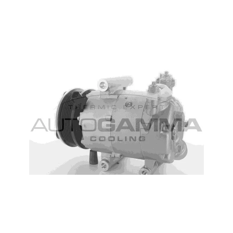 Compresseur, climatisation AUTOGAMMA 118445
