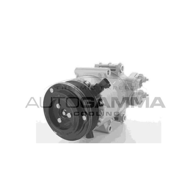 Compresseur, climatisation AUTOGAMMA 118446