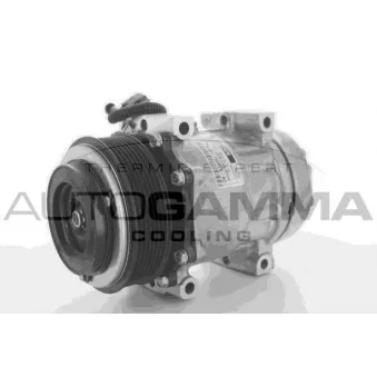 Compresseur, climatisation AUTOGAMMA 118450
