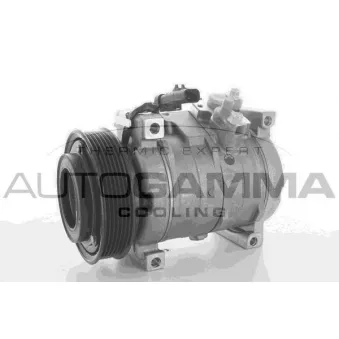 Compresseur, climatisation AUTOGAMMA 118456