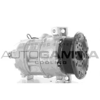 Compresseur, climatisation AUTOGAMMA 118457