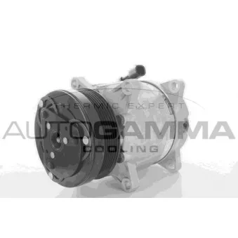 Compresseur, climatisation AUTOGAMMA 118462